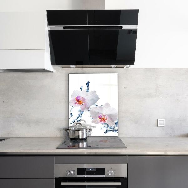 Szkło na ścianę do kuchni Storczyk Zroszony Wodą