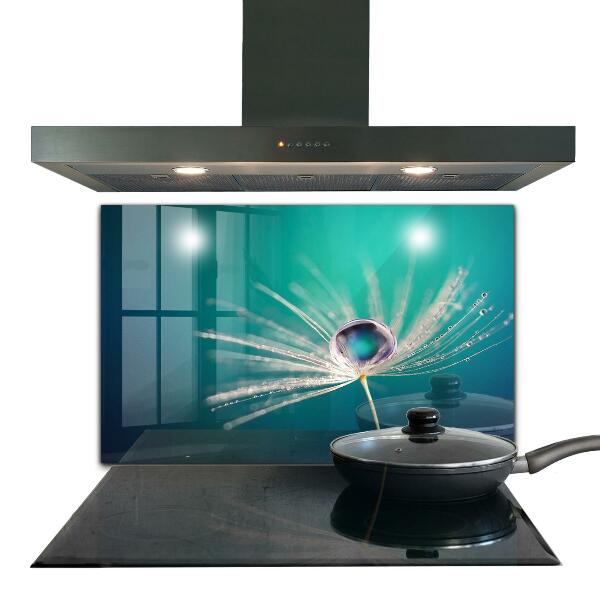 Szkło na ścianę do kuchni Mniszek z Kroplą Rosy