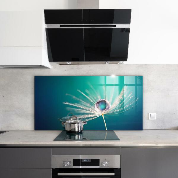 Szkło na ścianę do kuchni Mniszek z Kroplą Rosy