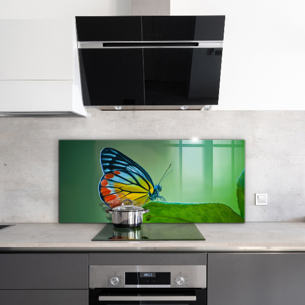 Panel szklany do kuchni Motyl odpoczywający na Liściu