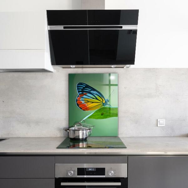 Panel szklany do kuchni Motyl odpoczywający na Liściu