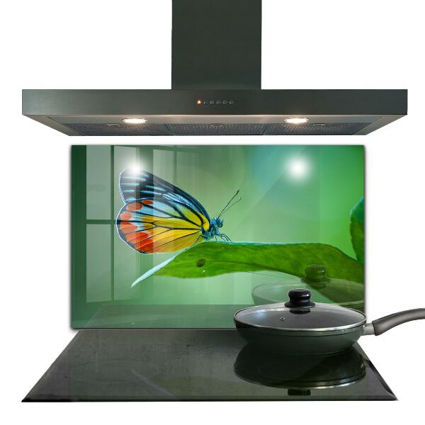 Panel szklany do kuchni Motyl odpoczywający na Liściu