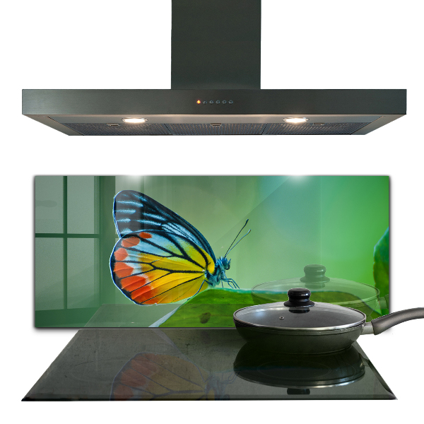 Panel szklany do kuchni Motyl odpoczywający na Liściu