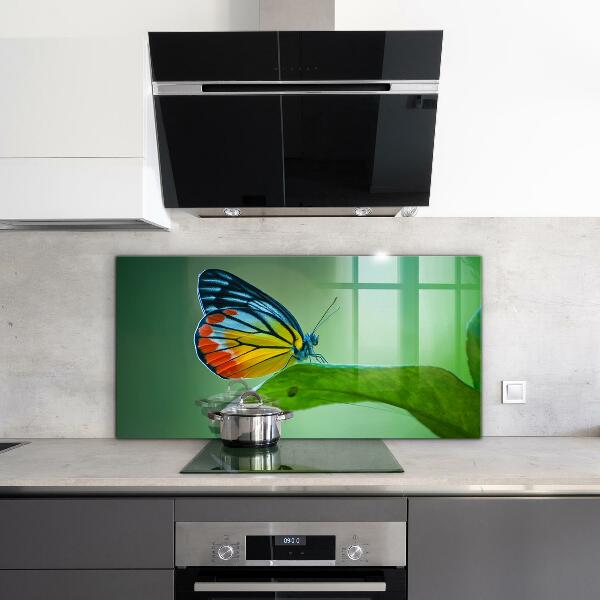 Panel szklany do kuchni Motyl odpoczywający na Liściu