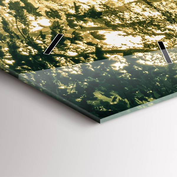 Zegar szklany pionowy Promienie słoneczne Las