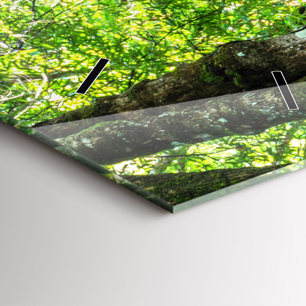 Zegar szklany pionowy Wodospad w lesie