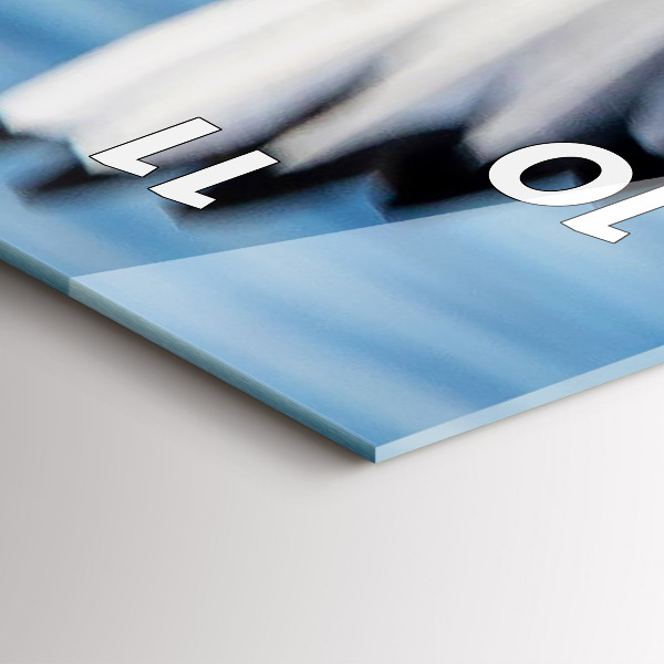 Zegar ścienny pionowy Mewy w Gdyni