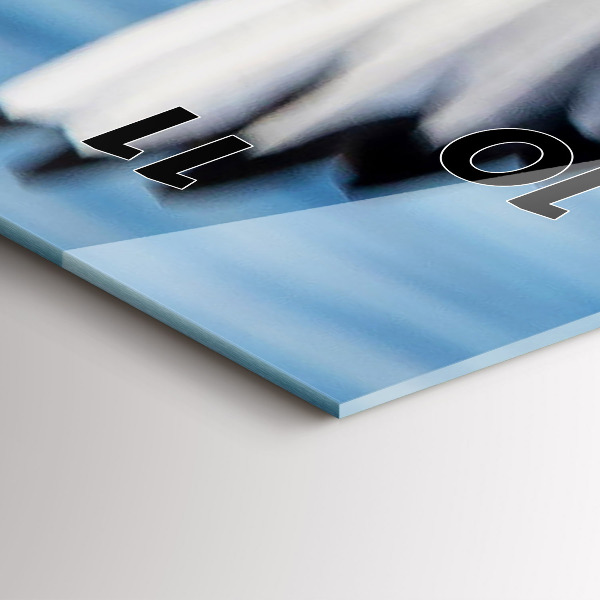 Zegar ścienny pionowy Mewy w Gdyni