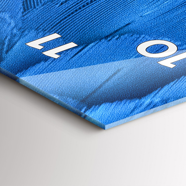 Zegar szklany pionowy Pióro ptaka