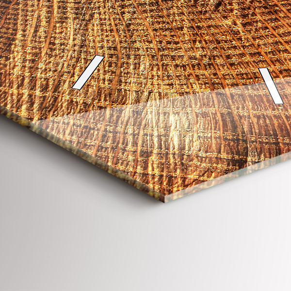 Zegar szklany pionowy Stary pień drzewa