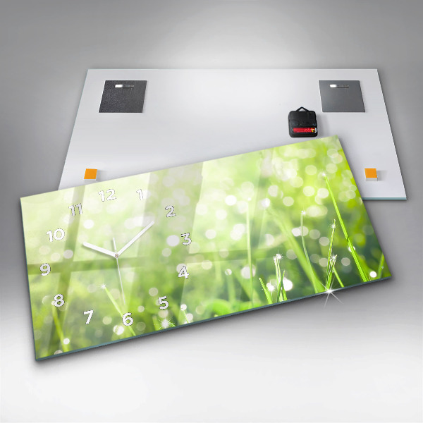Zegar ścienny poziomy Zielona trawa