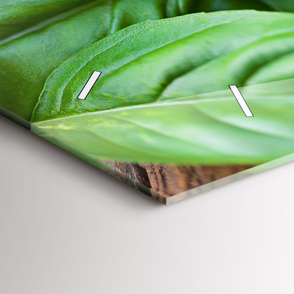 Zegar szklany poziomy Liście bazylii