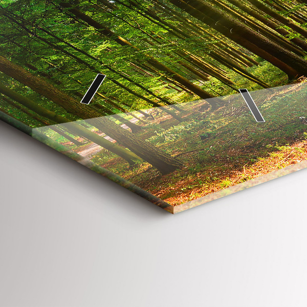 Zegar szklany poziomy Las wschód słońca