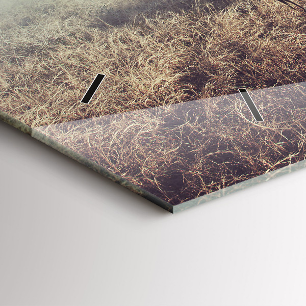 Zegar ścienny poziomy Zebra – Abstrakcja