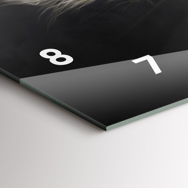 Zegar ścienny poziomy Galopujący koń