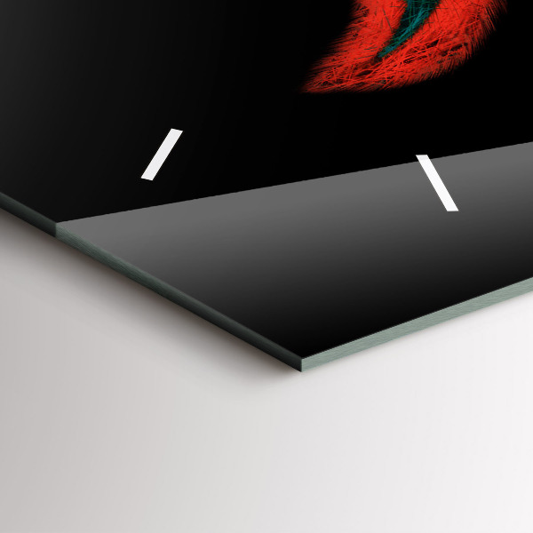 Zegar szklany poziomy Kolorowe Pióra Ptaka