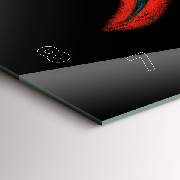 Zegar szklany poziomy Kolorowe Pióra Ptaka