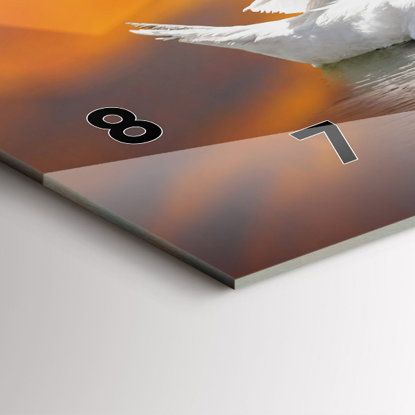 Zegar szklany poziomy Zakochane Łabędzie