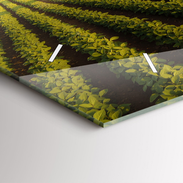 Zegar szklany poziomy Ciągnik opryskujący pole