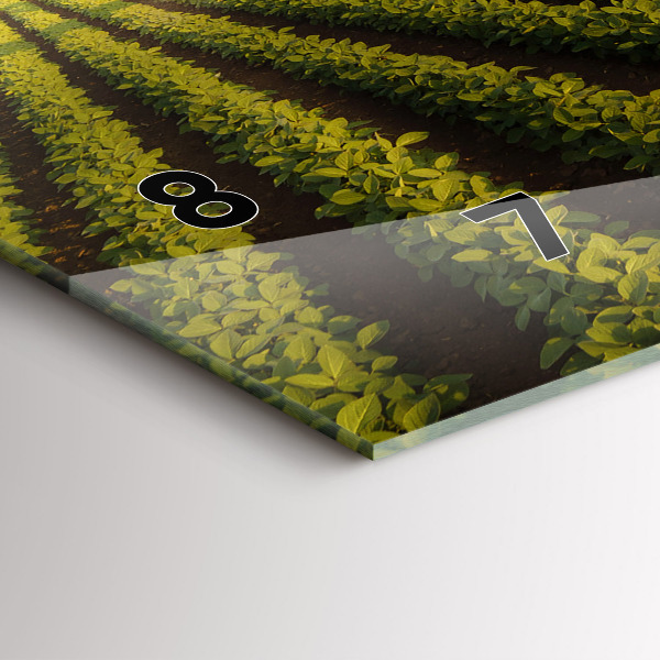 Zegar szklany poziomy Ciągnik opryskujący pole