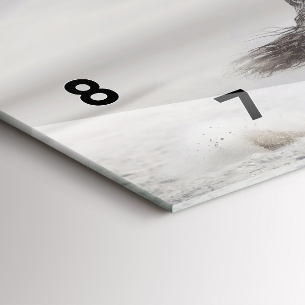 Zegar ścienny poziomy Galopujący biały koń