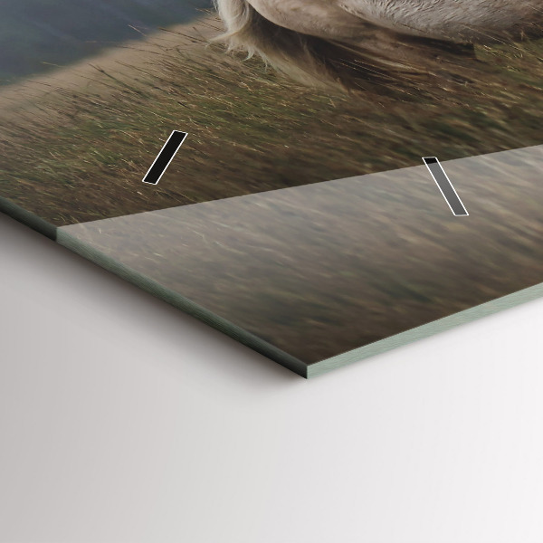 Zegar poziomy Konie w galopie