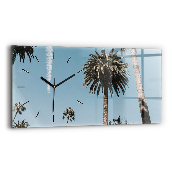 Zegar poziomy Palmy w Los Angeles
