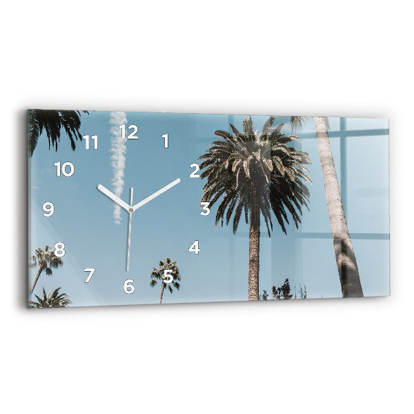 Zegar poziomy Palmy w Los Angeles