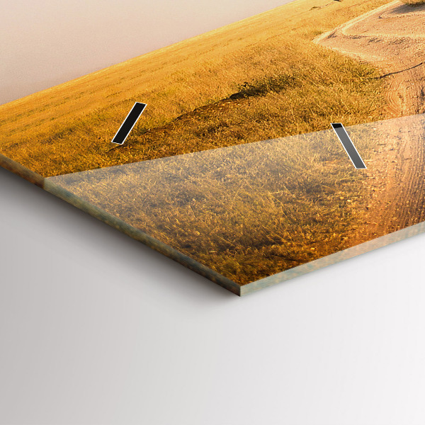 Zegar ścienny poziomy Krajobraz Afryki