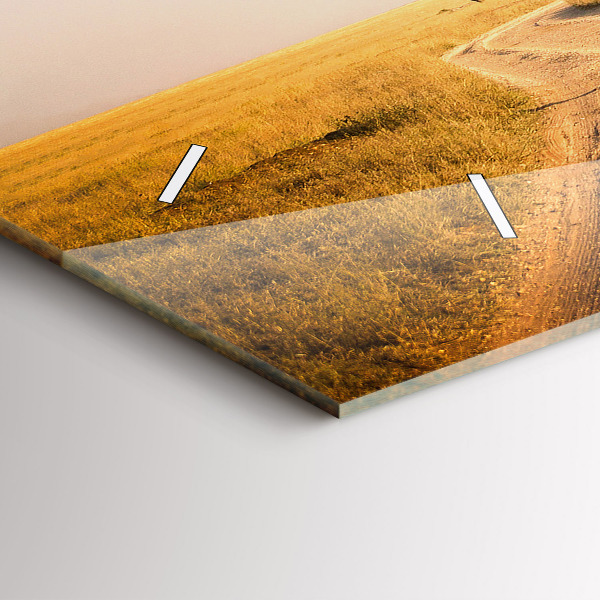 Zegar ścienny poziomy Krajobraz Afryki