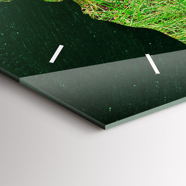 Zegar ścienny poziomy Trawiasta mapa świata