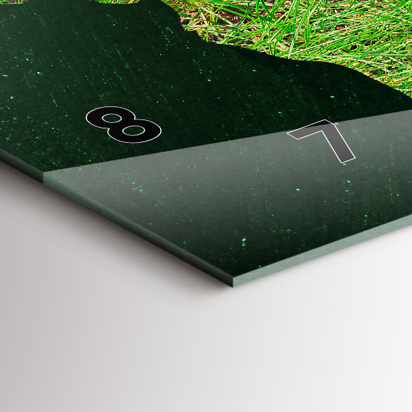 Zegar ścienny poziomy Trawiasta mapa świata