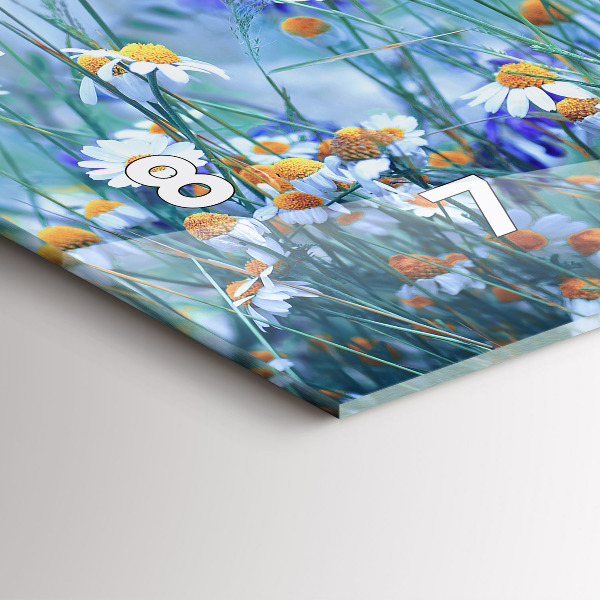 Zegar szklany poziomy Motyl na łące