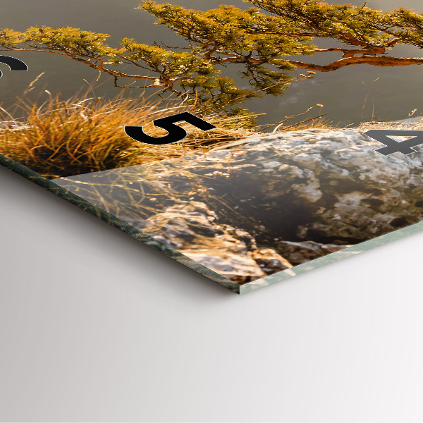 Kwadratowy zegar Drzewo w górach