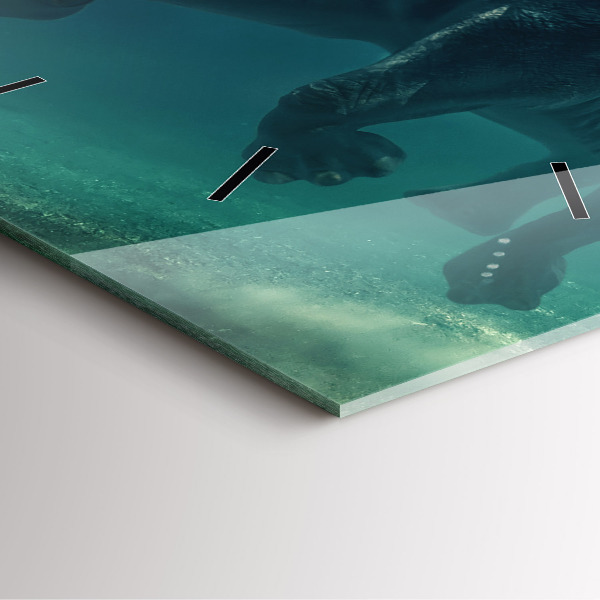 Zegar na ścianę kwadratowy Pływający słoń w oceanie