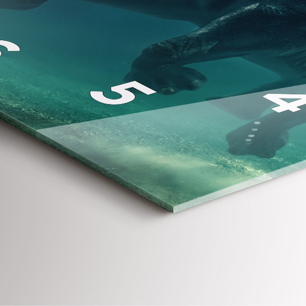 Zegar na ścianę kwadratowy Pływający słoń w oceanie