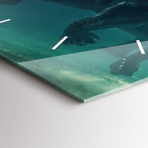 Zegar na ścianę kwadratowy Pływający słoń w oceanie