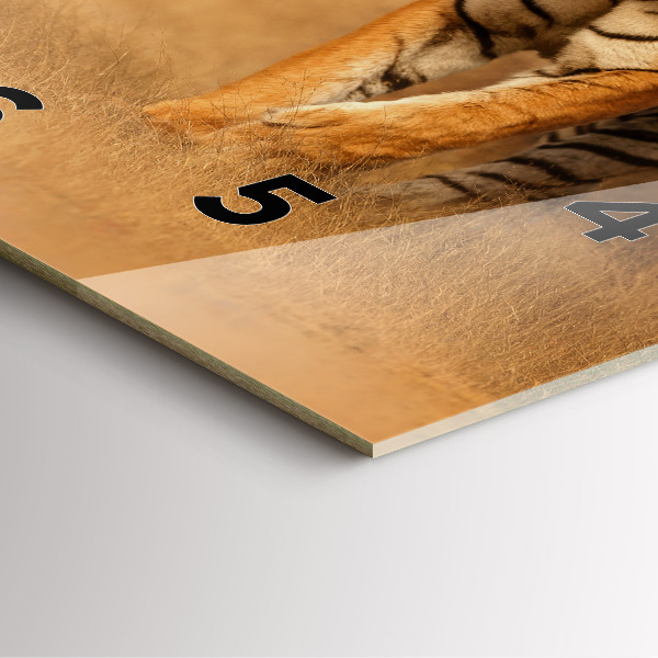 Kwadratowy zegar Polowanie Tygrys