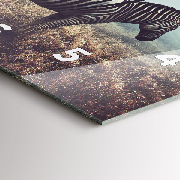 Kwadratowy zegar Zebra – Abstrakcja