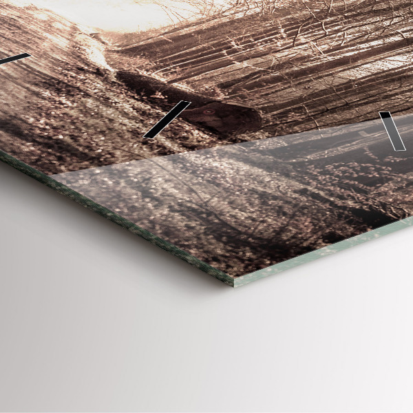 Kwadratowy zegar Ścieżka leśna w sepii