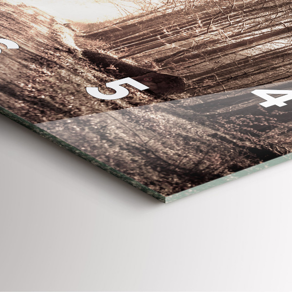 Kwadratowy zegar Ścieżka leśna w sepii