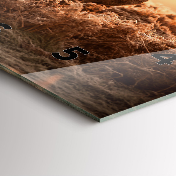 Kwadratowy zegar Jeleń o wschodzie słońca