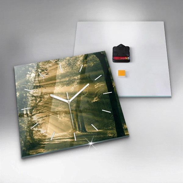 Kwadratowy zegar Promienie słoneczne Las