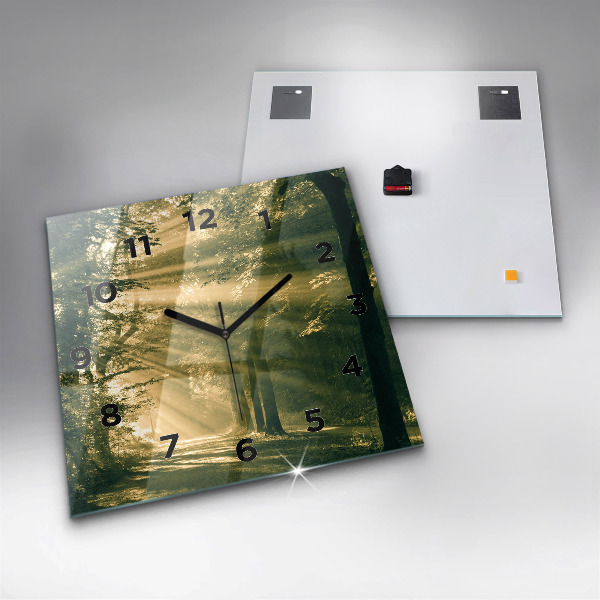Kwadratowy zegar Promienie słoneczne Las