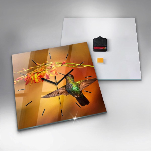Zegar ścienny kwadratowy Koliber ptak