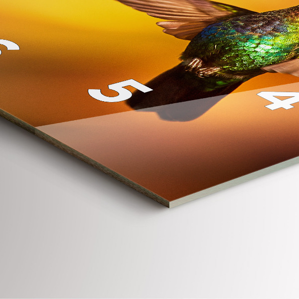 Zegar ścienny kwadratowy Koliber ptak