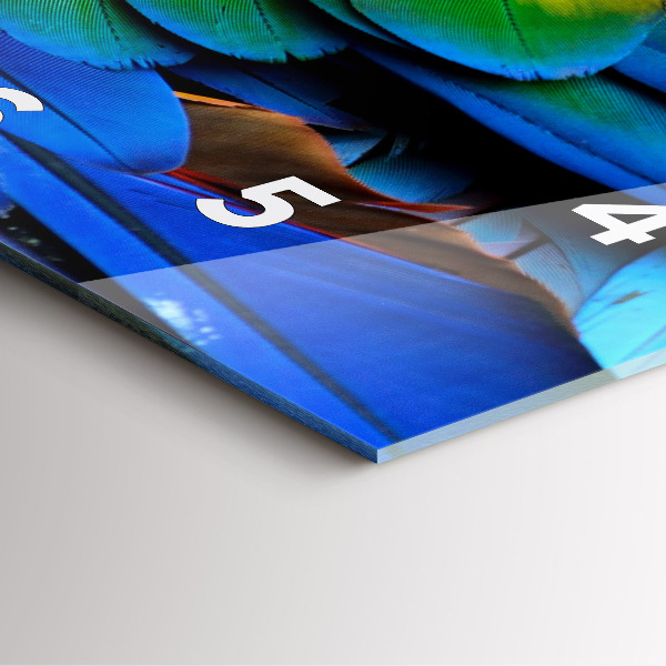 Zegar na ścianę kwadratowy Kolorowe skrzydła ptaka