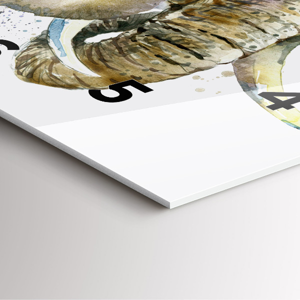 Zegar na ścianę kwadratowy Malowane zwierzęta słonie