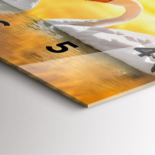 Zegar na ścianę kwadratowy Zakochane łabędzie