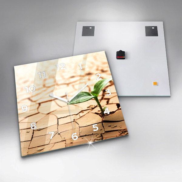 Kwadratowy zegar Roślina w suchej ziemi
